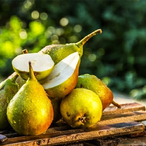 AdobeStock_218186346-rond-compote-poire-web AdobeStock_218186346-rond-compote-poire-web